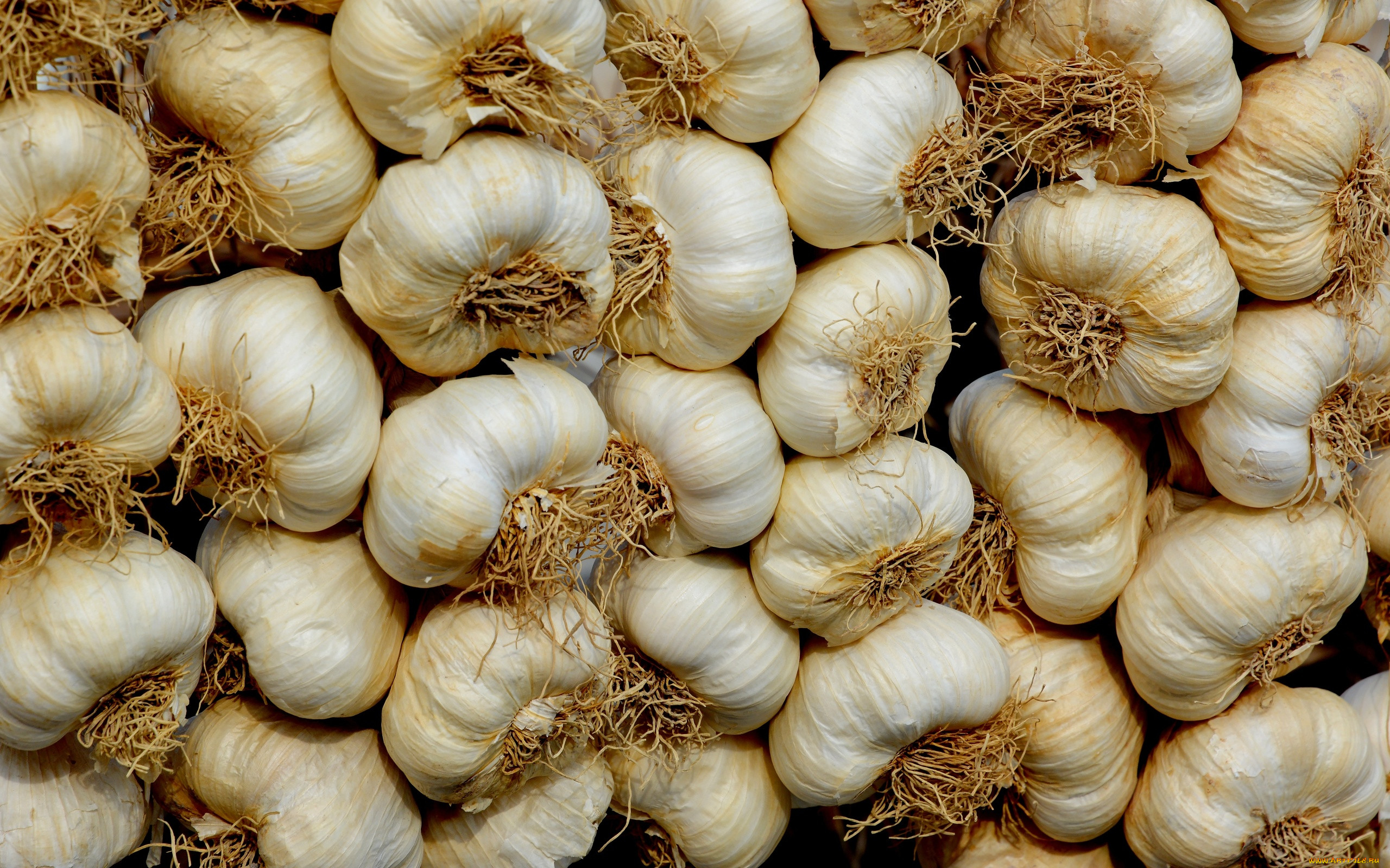 ���, ������, ������, �����